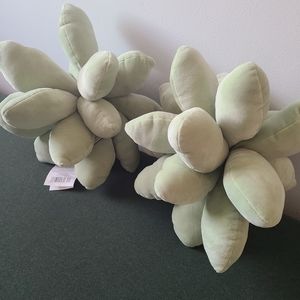 Room 2 room Succulent pillows